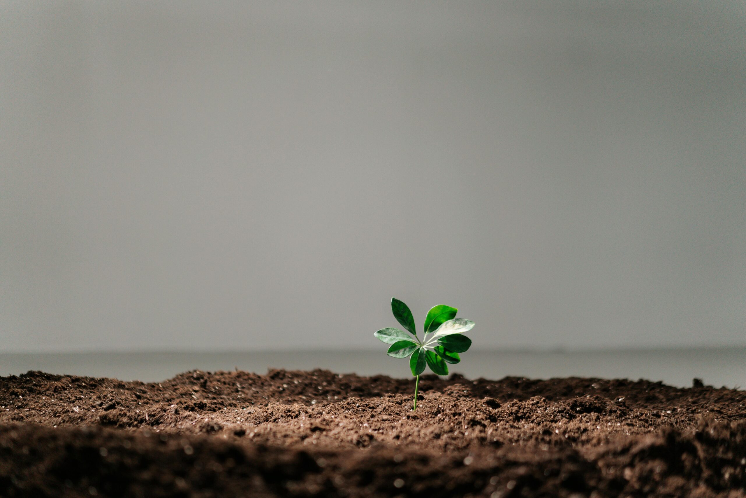 Why Become a Christian: Finding Hope in a Broken World